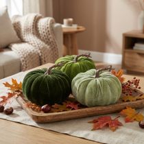 Article Décoration citrouilles en velours, vert clair, vert foncé, Ø18 cm, lot de 3