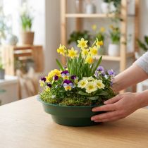 Article Petites coupelles vertes pour compositions florales - Ø 12 cm - Lot de 25