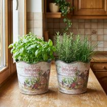 Article Lot de 2 pots à herbes en plastique vintage Fresh Garden H13,5 cm