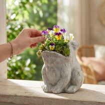 Article Porte-plante décoratif en béton grenouille gris H18,5 cm