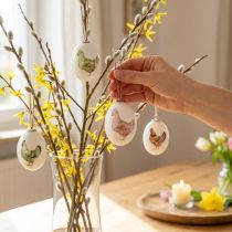 Article Set de 24 œufs de Pâques décoratifs en plastique vert et brun avec motifs poules