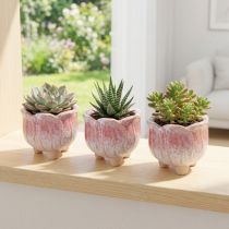 Article Mini pots en céramique fleuris Ø8cm H7cm, lot de 3