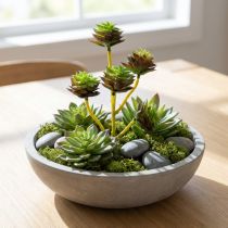 Article Piquet de Succulentes Artificielles Vert et Brun 35,5 cm