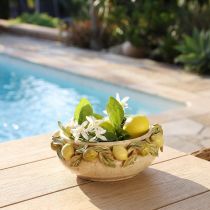 Article Coupe en céramique décorative avec citrons – Style méditerranéen – Ø 22,5 cm H 8,5 cm