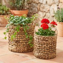 Article Lot de 2 paniers en fibres naturelles en jacinthe d’eau et herbe de mer 31/26 cm