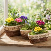 Article Set de 3 jardinières en bois naturel – 3 tailles et coloris