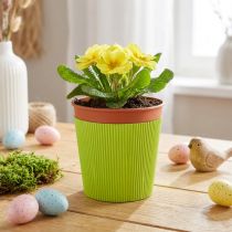 Article Manschettes plissées pour pots de fleurs vert clair 14,5 cm - Lot de 100
