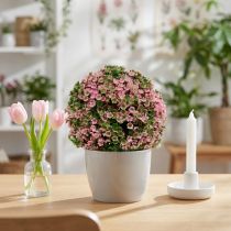 Article Boule décorative artificielle rose et verte Ø15cm