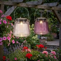 Article Lot de 2 lanternes solaires LED en verre strié violet avec anse à suspendre