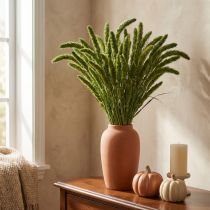 Article Hérisson Vert Séché – Setaria Pumila – 75 cm – 200 g