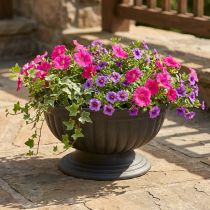 Article Coupe décorative sur pied anthracite en plastique, Ø26-35cm