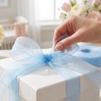 Article Ruban organza bleu clair 25 mm x 50 m