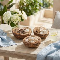Article Set de 3 demi-coques de noix de coco décoratives avec coquillages naturels