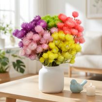 Article Fleurs séchées en bouquets – Immortelles colorées H42 cm