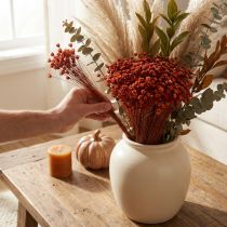 Article Bouquet de fleurs séchées rouges 44 cm pour décoration intérieure