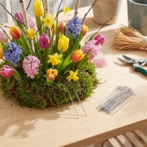 Article Aiguilles végétales brevetées 17/80 de 2,5 kg pour la fixation dans les compositions florales