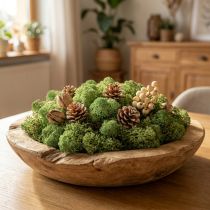Article Mousse d’Islande verte 400 g pour décoration