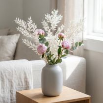 Article Branches de Ruscus branches décoratives fleurs séchées blanchies 10 pcs