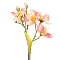 Article Branche fleurie décorative de lys du Pérou pour compositions intemporelles, 33 cm, lot de 6