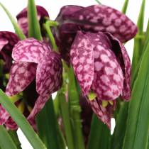 Article Fleurs d&#39;échiquier Fritillaria artificielle violette 29cm 6pcs