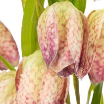 Article Fleur de fritillaire artificielle, décoration délicate pour les espaces de vie, 60 cm, lot de 3