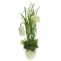 Fritilaria dans la coquille d&#39;oeuf à suspendre Vert, blanc 25cm