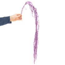 Article Fleurs séchées Amarante teintée pour décoration intérieure moderne, 100 cm, lot de 5