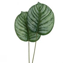 Article Calathea Panier Artificiel Marante Plantes Artificielles Vert 51cm