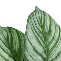 Article Calathea Panier Artificiel Marante Plantes Artificielles Vert 51cm