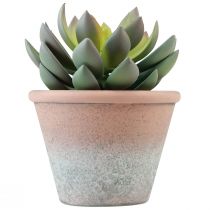 Article Plante succulente en pot Echeveria artificielle vert vintage Ø15cm H16cm