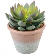 Article Plante succulente en pot Echeveria artificielle vert vintage Ø15cm H16cm