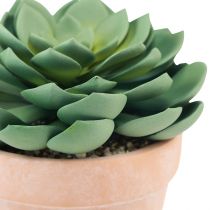 Article Plante succulente en pot Echeveria vert artificiel Ø15cm