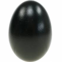 Article Œufs d'oie noirs soufflés, décoration de Pâques, 10 pièces