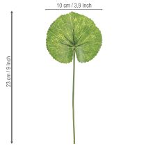 Article Feuilles artificielles Galax Urceolata vertes Ø10cm L23cm 12 pcs