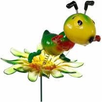 Piquet de jardin Cricket sur la Fleur Coloré 11cm