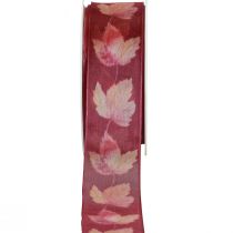 Article Ruban cadeau feuilles d&#39;érable ruban violet automne 40mm 15m