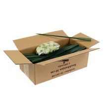 Article Tubes de rangement 30 cm x 1,5 cm 100 pièces