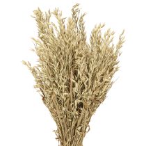 Article Avoine séchée bouquet décoratif bouquet décoratif naturel 60cm 200g