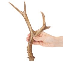 Article Geweihe décoratif en résine 32 cm tons naturels pour intérieur