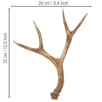 Article Geweihe décoratif en résine 32 cm tons naturels pour intérieur