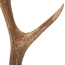 Article Grand bois décoratif en résine marron 50 cm