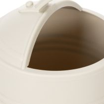 Article Arrosoir avec pommeau amovible. Idéal pour les plantes d'intérieur et les balcons. 32 cm