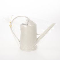 Article Arrosoir avec pommeau amovible. Idéal pour les plantes d'intérieur et les balcons. 32 cm