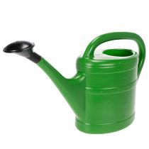 Article Arrosoir vert 5L avec pomme amovible pour jardin et balcon