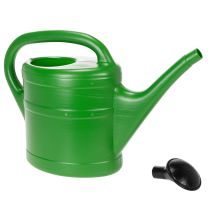 Article Arrosoir vert 5L avec pomme amovible pour jardin et balcon
