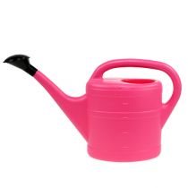 Article Arrosoir rose, 5 l