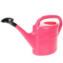 Article Arrosoir Rose 5L avec Douchette Amovible