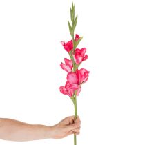 Article Kalligraphie de Gladiole Artificielle avec Fleurs Décoratives Rose 88 cm