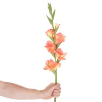 Article Gladiolus artificiel 88 cm en tissu orangé et jaune pour décoration intérieure