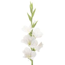 Article Gladiolus artificielle blanche, tige longue 88 cm, décoration intérieure